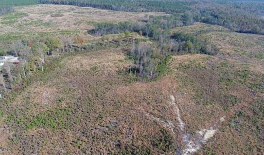 Photo of UNDER CONTRACT!!  46 acres of Recreational Timberland For Sale in King and Queen Co VA!