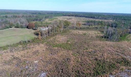 Photo of UNDER CONTRACT!!  46 acres of Recreational Timberland For Sale in King and Queen Co VA!