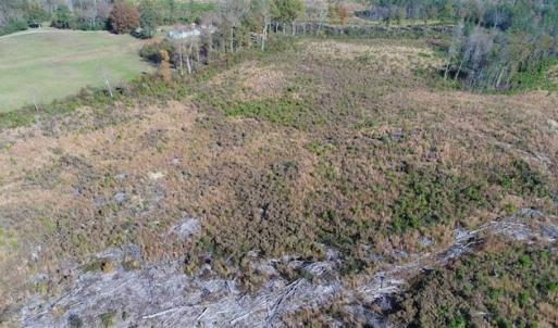 Photo of UNDER CONTRACT!!  46 acres of Recreational Timberland For Sale in King and Queen Co VA!