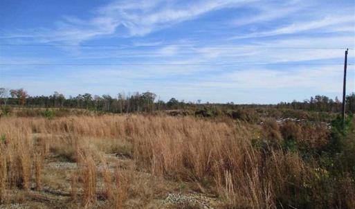 Photo of UNDER CONTRACT!!  46 acres of Recreational Timberland For Sale in King and Queen Co VA!