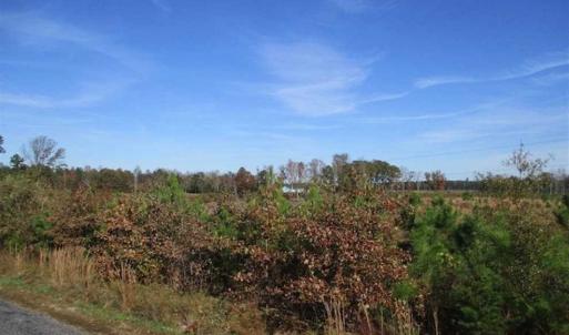 Photo of UNDER CONTRACT!!  46 acres of Recreational Timberland For Sale in King and Queen Co VA!