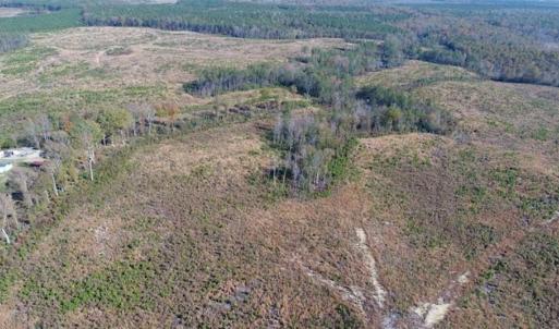 Photo of UNDER CONTRACT!!  46 acres of Recreational Timberland For Sale in King and Queen Co VA!