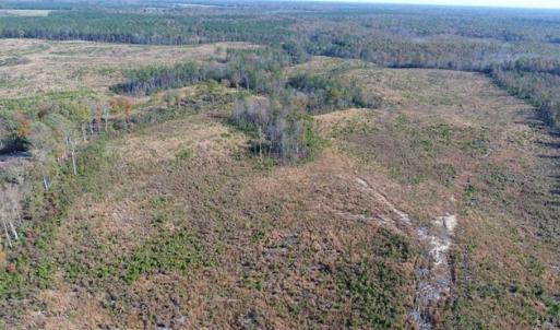 Photo of UNDER CONTRACT!!  46 acres of Recreational Timberland For Sale in King and Queen Co VA!