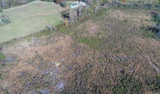 Photo of UNDER CONTRACT!!  46 acres of Recreational Timberland For Sale in King and Queen Co VA!