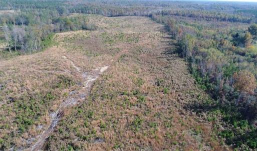 Photo of UNDER CONTRACT!!  46 acres of Recreational Timberland For Sale in King and Queen Co VA!