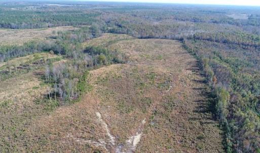 Photo of UNDER CONTRACT!!  46 acres of Recreational Timberland For Sale in King and Queen Co VA!