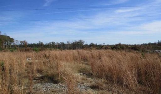 Photo of UNDER CONTRACT!!  46 acres of Recreational Timberland For Sale in King and Queen Co VA!