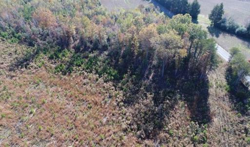 Photo of UNDER CONTRACT!!  46 acres of Recreational Timberland For Sale in King and Queen Co VA!
