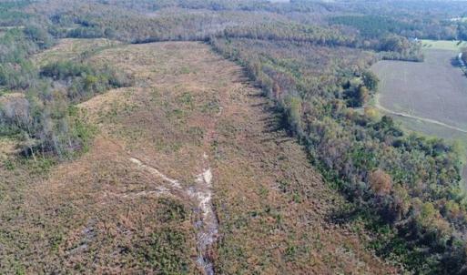 Photo of UNDER CONTRACT!!  46 acres of Recreational Timberland For Sale in King and Queen Co VA!