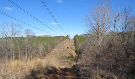 Photo of UNDER CONTRACT!!  104 Acres of Hunting and Timber Land For Sale in Lee County NC!