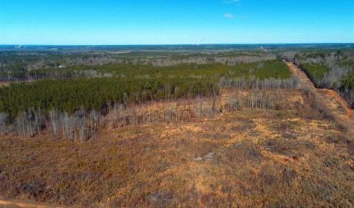 Photo of UNDER CONTRACT!!  104 Acres of Hunting and Timber Land For Sale in Lee County NC!