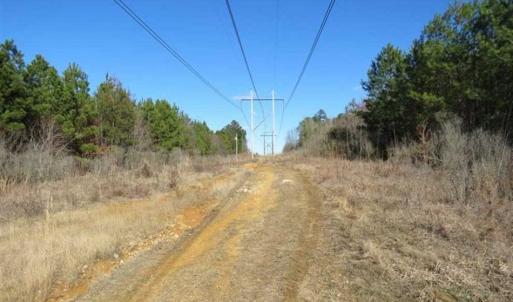 Photo of UNDER CONTRACT!!  104 Acres of Hunting and Timber Land For Sale in Lee County NC!