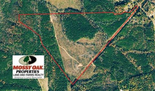 Photo of UNDER CONTRACT!!  104 Acres of Hunting and Timber Land For Sale in Lee County NC!