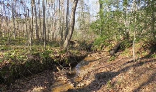 Photo of UNDER CONTRACT!!  104 Acres of Hunting and Timber Land For Sale in Lee County NC!