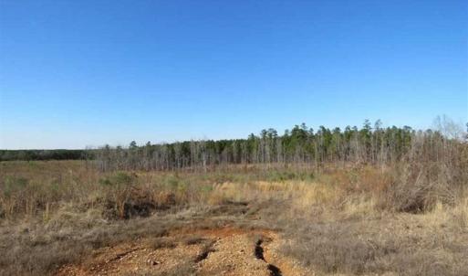 Photo of UNDER CONTRACT!!  104 Acres of Hunting and Timber Land For Sale in Lee County NC!