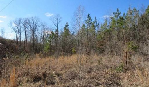 Photo of UNDER CONTRACT!!  104 Acres of Hunting and Timber Land For Sale in Lee County NC!