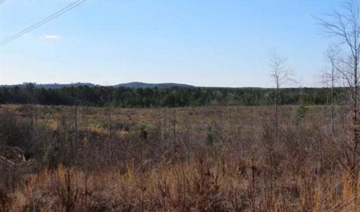 Photo of UNDER CONTRACT!!  104 Acres of Hunting and Timber Land For Sale in Lee County NC!