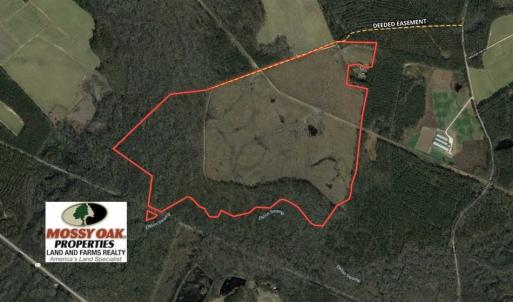 Photo of SOLD!!  327.5 acres of Hunting and Timberland for Sale in Bladen County NC!