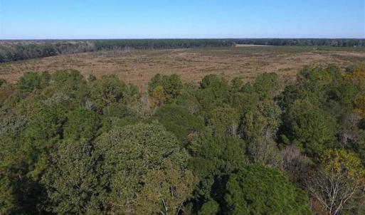 Photo of SOLD!!  327.5 acres of Hunting and Timberland for Sale in Bladen County NC!