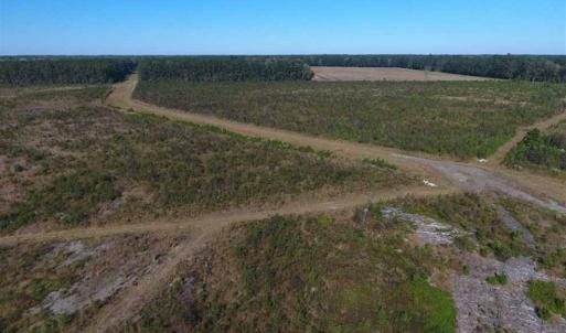 Photo of SOLD!!  327.5 acres of Hunting and Timberland for Sale in Bladen County NC!