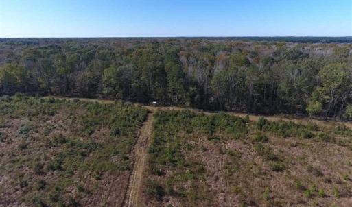 Photo of SOLD!!  327.5 acres of Hunting and Timberland for Sale in Bladen County NC!