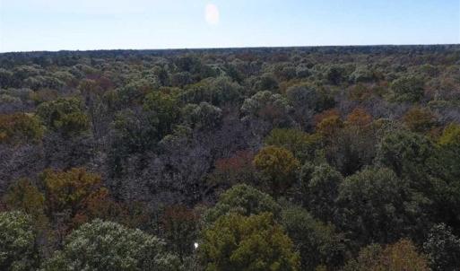 Photo of SOLD!!  327.5 acres of Hunting and Timberland for Sale in Bladen County NC!