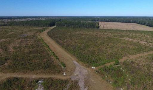 Photo of SOLD!!  327.5 acres of Hunting and Timberland for Sale in Bladen County NC!