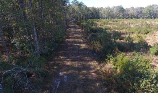 Photo of SOLD!!  327.5 acres of Hunting and Timberland for Sale in Bladen County NC!