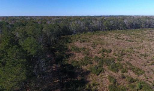 Photo of SOLD!!  327.5 acres of Hunting and Timberland for Sale in Bladen County NC!