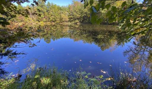Photo of UNDER CONTRACT!!  10.94-acre Homesite (Lot-3) with Pond for Sale in Orange County, NC!