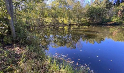 Photo of UNDER CONTRACT!!  10.94-acre Homesite (Lot-3) with Pond for Sale in Orange County, NC!