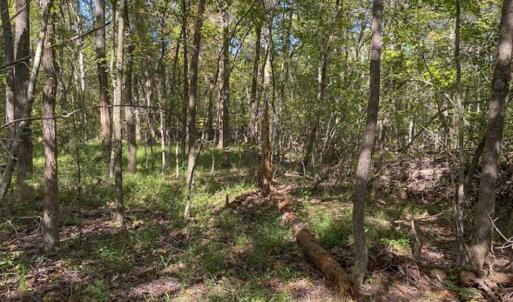 Photo of UNDER CONTRACT!!  10.94-acre Homesite (Lot-3) with Pond for Sale in Orange County, NC!