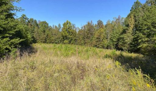 Photo of UNDER CONTRACT!!  10.94-acre Homesite (Lot-3) with Pond for Sale in Orange County, NC!