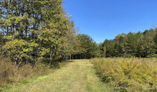 Photo of UNDER CONTRACT!!  10.94-acre Homesite (Lot-3) with Pond for Sale in Orange County, NC!