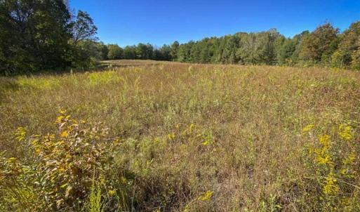 Photo of 10.39-acre Homesite (Lot-4) for Sale in Orange County, NC!