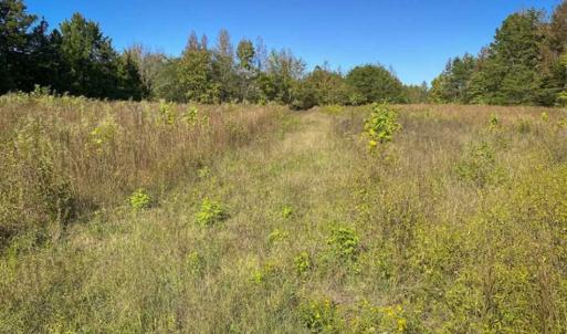 Photo of 10.39-acre Homesite (Lot-4) for Sale in Orange County, NC!