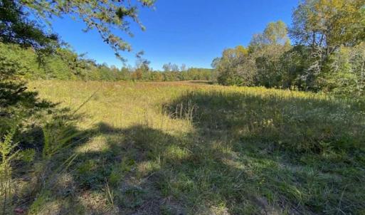 Photo of 10.39-acre Homesite (Lot-4) for Sale in Orange County, NC!