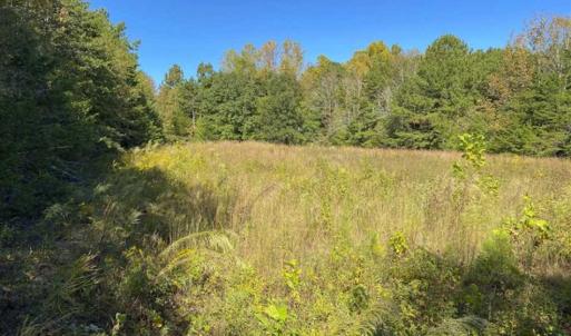 Photo of 10.39-acre Homesite (Lot-4) for Sale in Orange County, NC!