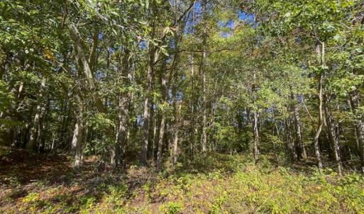 Photo of 10.39-acre Homesite (Lot-4) for Sale in Orange County, NC!