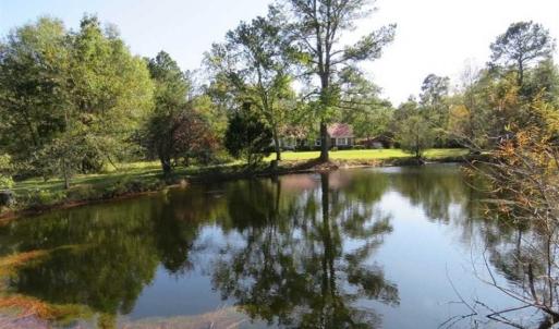Photo of SOLD!!  5.7 acres of Residential Land for Sale in Columbus County NC!