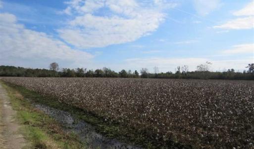 Photo of UNDER CONTRACT!!  55 Acres of Farm and Timber Land For Sale in Robeson County NC!