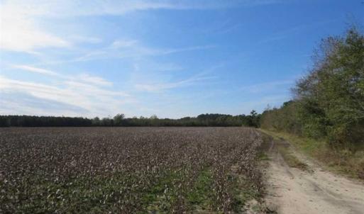 Photo of UNDER CONTRACT!!  55 Acres of Farm and Timber Land For Sale in Robeson County NC!