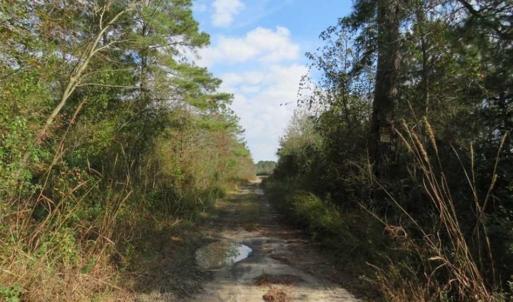 Photo of UNDER CONTRACT!!  55 Acres of Farm and Timber Land For Sale in Robeson County NC!