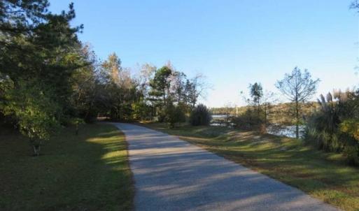 Photo of 194 Acres of Waterfront Recreational Land For Sale in Robeson County NC!