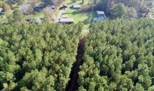 Photo of SOLD!!  22.72 Acres of Recreational Timberland For Sale in Washington County NC!