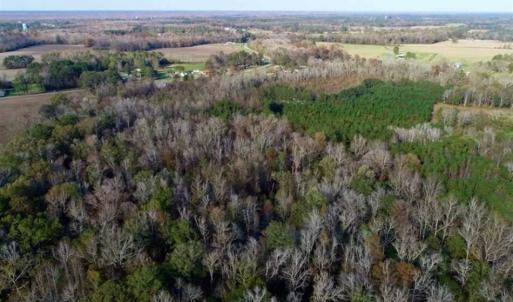 Photo of SOLD!!  22.72 Acres of Recreational Timberland For Sale in Washington County NC!