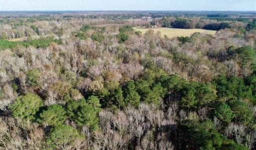 Photo of SOLD!!  22.72 Acres of Recreational Timberland For Sale in Washington County NC!
