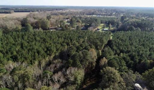 Photo of SOLD!!  22.72 Acres of Recreational Timberland For Sale in Washington County NC!