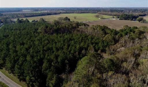 Photo of SOLD!!  22.72 Acres of Recreational Timberland For Sale in Washington County NC!