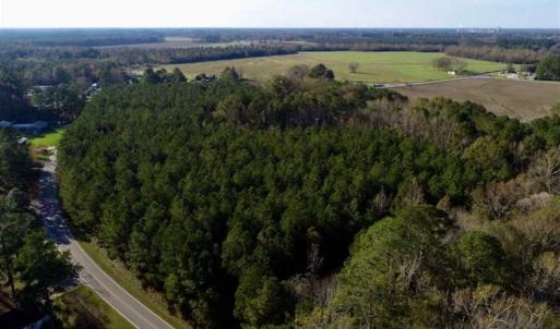 Photo of SOLD!!  22.72 Acres of Recreational Timberland For Sale in Washington County NC!